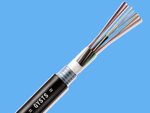 鎧裝電纜型號詳解——甘肅豐達電線電纜品質保障